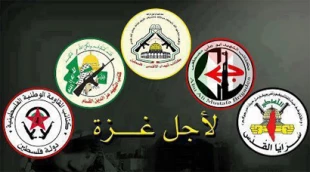 Egypt's ruling on al-Qassam, a coup