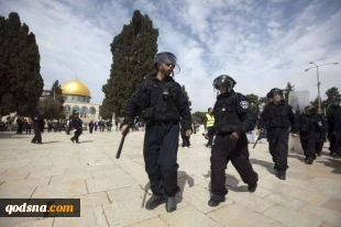 Israel entertaining thoughts of Aqsa destruction - expert