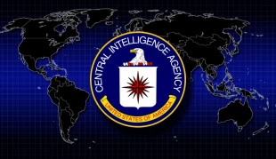 CIA admits key stand of Hamas in Palestinian issue