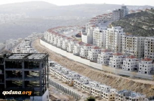 Americans for Peace Now rejects settlements as plague