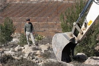 شهرک نشینان خاک مرغوب اراضی فلسطینیان را می دزدند