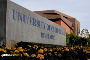 Attempt to block “Palestinian Voices” university course fails