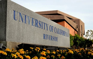 Attempt to block “Palestinian Voices” university course fails