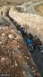 اعتقلت قوات الاحتلال120 عاملا فلسطینیا