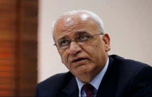 Since 2004, over 11,000 settler attacks