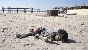 Call for new probe into murder of 4 kids on Gaza beach