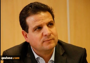 Odeh: I do not put limits on Palestinian struggle