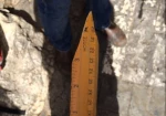 کودکان فلسطینی مشق انتفاضه می کنند/ بازداشت دانش آموز فلسطینی به دلیل داشتن خط کشی شبیه چاقو
