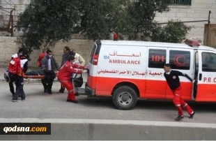 Palestinian minor killed by Egyptian army fire