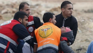 Two Palestinians killed every day since October