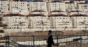 وزیرة صهیونیة: الأحداث الدائرة بالاراضی الفلسطینیة فرصة لتعزیز الاستیطان
