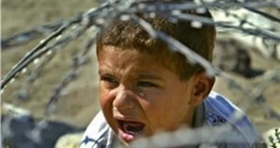 179 Palestinians killed by Israeli gunfire in 2015