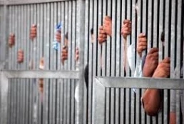 Captives suffer greatly from overcrowding, cold winter