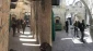 استشهاد سیدة برصاص الاحتلال فی القدس