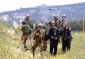 Israeli forces injured 1,300 Palestinians in 2016 1st quarter