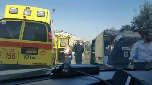 Palestinian brother, sister slain by Israel without cause