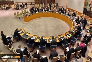 PA to ask UNSC for protection from Israeli war crimes