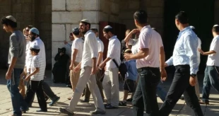 Aqsa Mosque defiled by 415 settlers in May