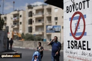 Dutch government upholds the right to endorse the BDS movement