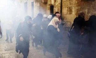 Extremist settlers storm Aqsa mosque