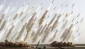 In future war, Israel face largest numbers of rockets