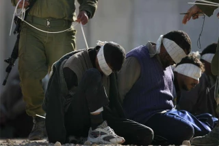 48 captives continue solidarity hunger strike