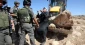 Israel to build 770 settlement units near Quds