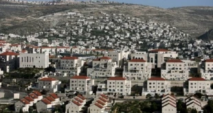 نیر برکات: الاستیطان سیتواصل فی القدس