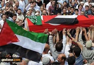 Number of martyrs in anti-occupation intifada cross 230