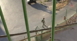 جنود الاحتلال یسرقون دراجة طفلة بالخلیل