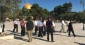 New settler groups storm al-Aqsa