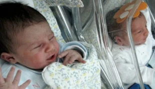 4961 Newborn Babies in Gaza in August