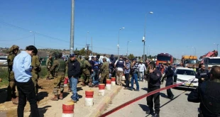 499 anti-occupation ops in one single year