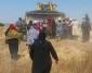 Israeli forces demolish Bedouin village of al-Araqib