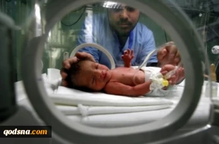 Gaza population at record 2 million