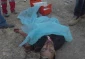 Israeli troopers murder minor stone-thrower