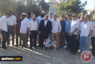 Hundreds of Israelis enter Al-Aqsa Mosque compound