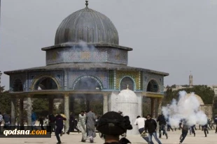 3,000 settlers break into al-Aqsa within two months