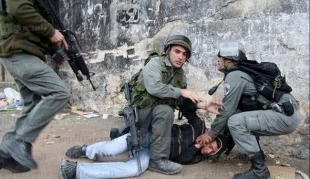 صهیونیستها ماه گذشته 530 فلسطینی را ربودند