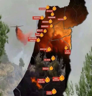 نقاط آتش سوزی در اراضی اشغالی+عکس