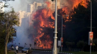 Israeli minister claims: Nearly half of fires were arson