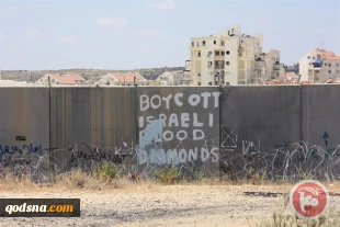 Israel denies entry of BDS activist