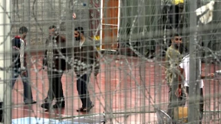 Dozen countries to hold sit-ins in support of Palestinian inmates