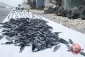 Israel claims discovery of arms workshop in al-Khalil