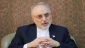 صالحی: الثورة الإسلامیة فتحت للمستضعفین طریق الحریة