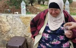 نبض زندگی در فلسطین 2