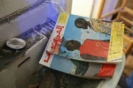 نبض زندگی در فلسطین 6
