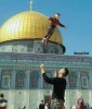 نبض زندگی در فلسطین 11