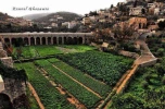 نبض زندگی در فلسطین 14