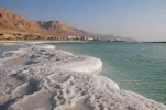 نبض زندگی در فلسطین 16